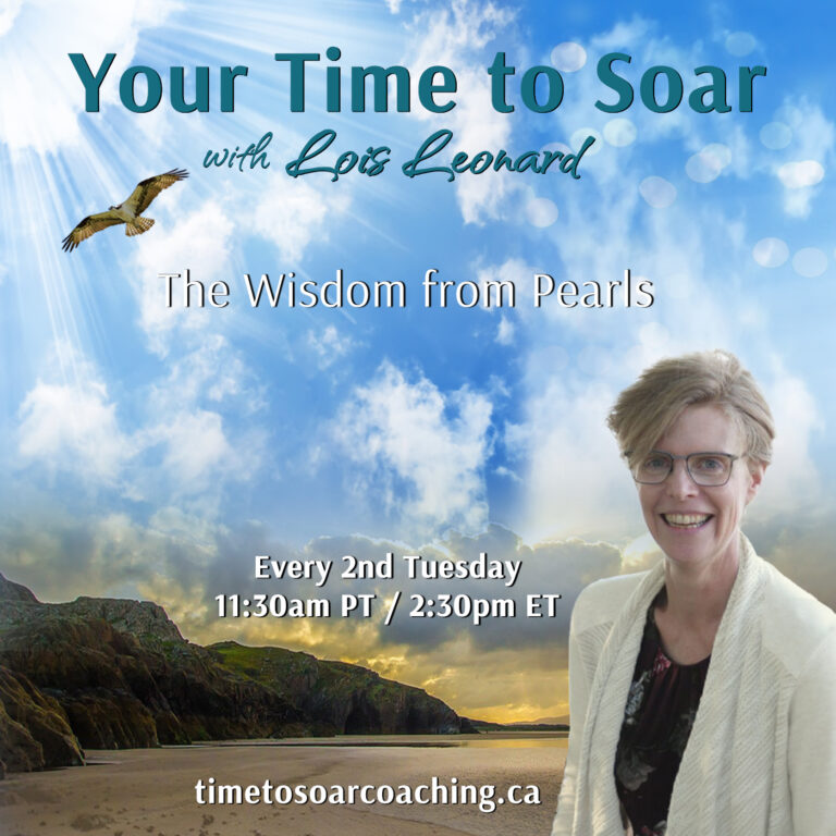 your-time-to-soar-lois-leonard